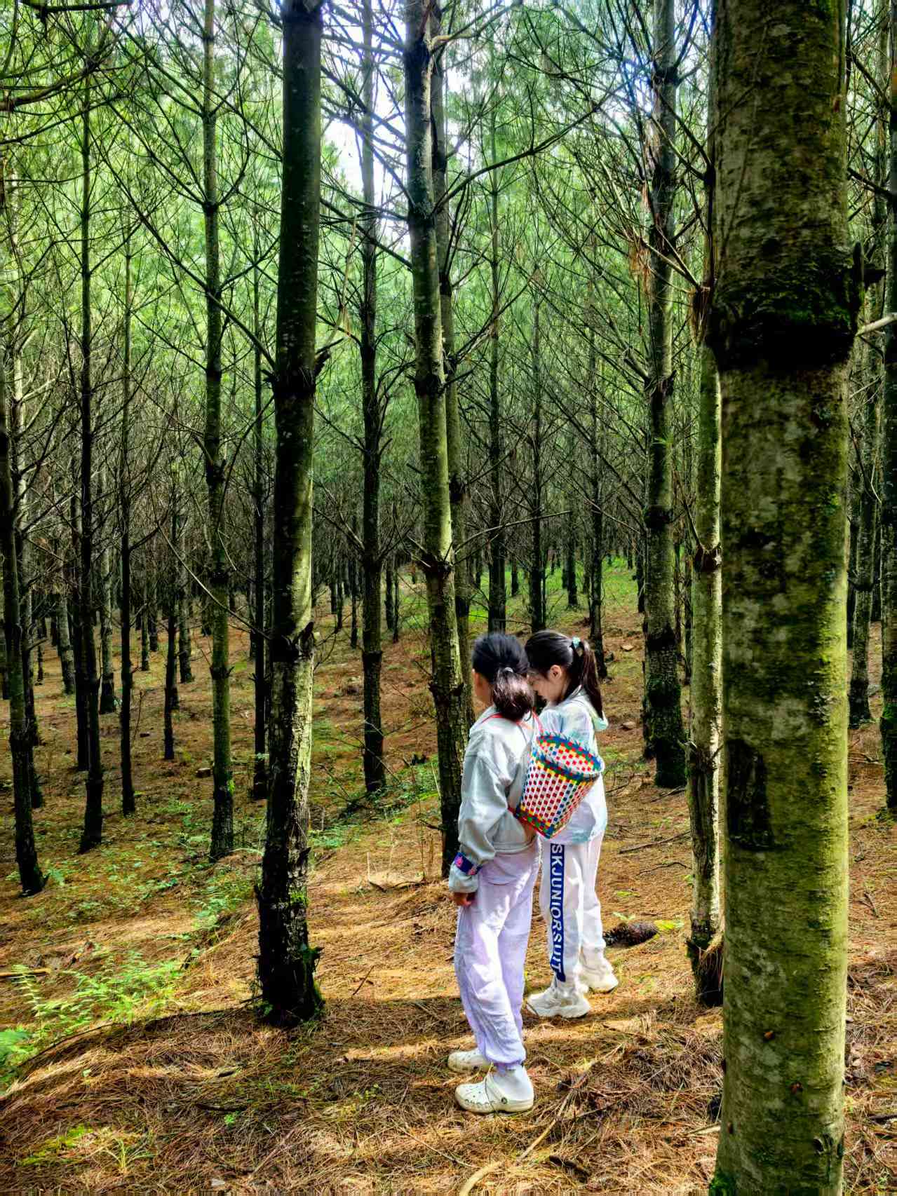 逃离重庆火炉的云贵之旅