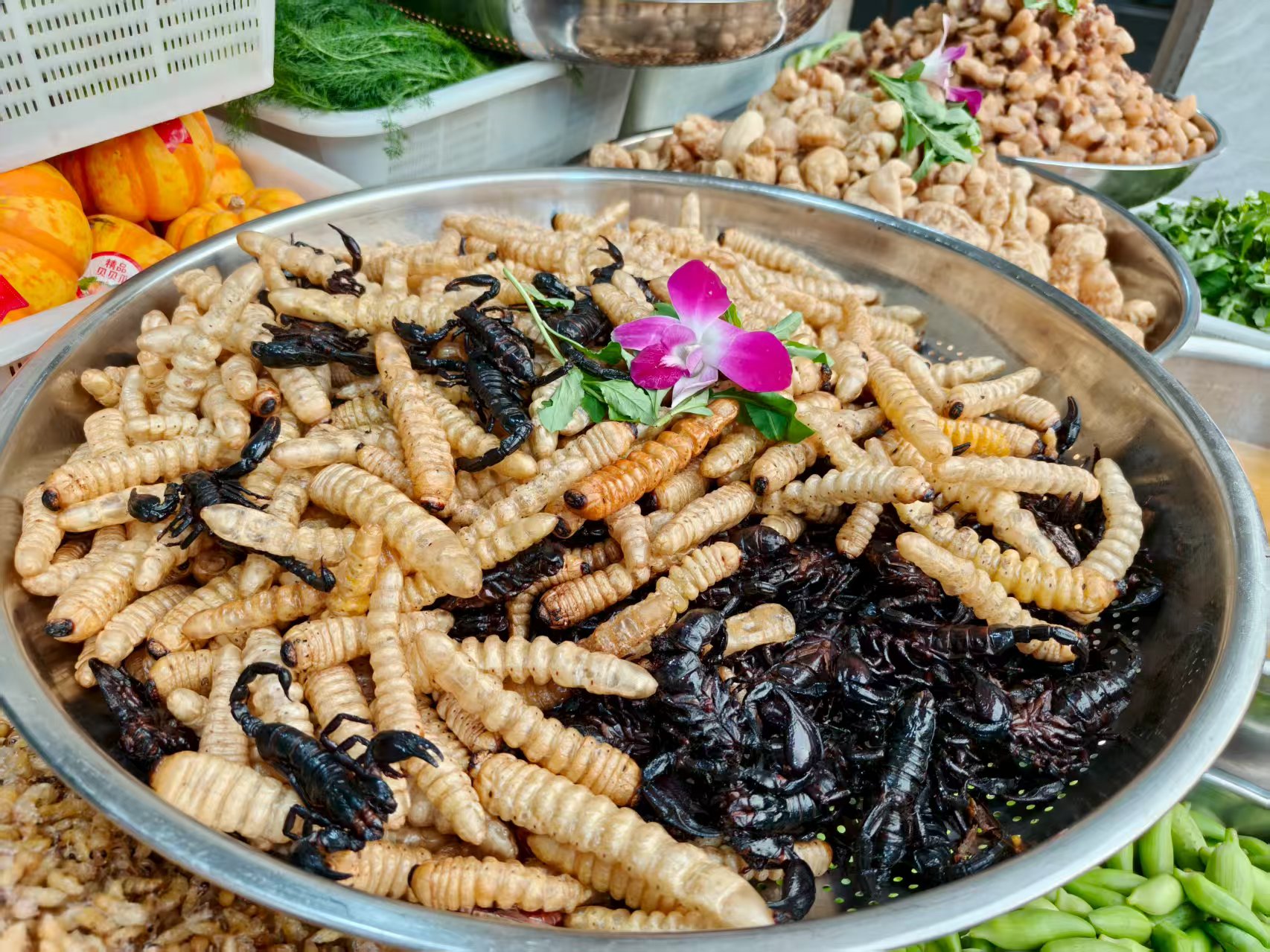 逃离重庆火炉的云贵之旅