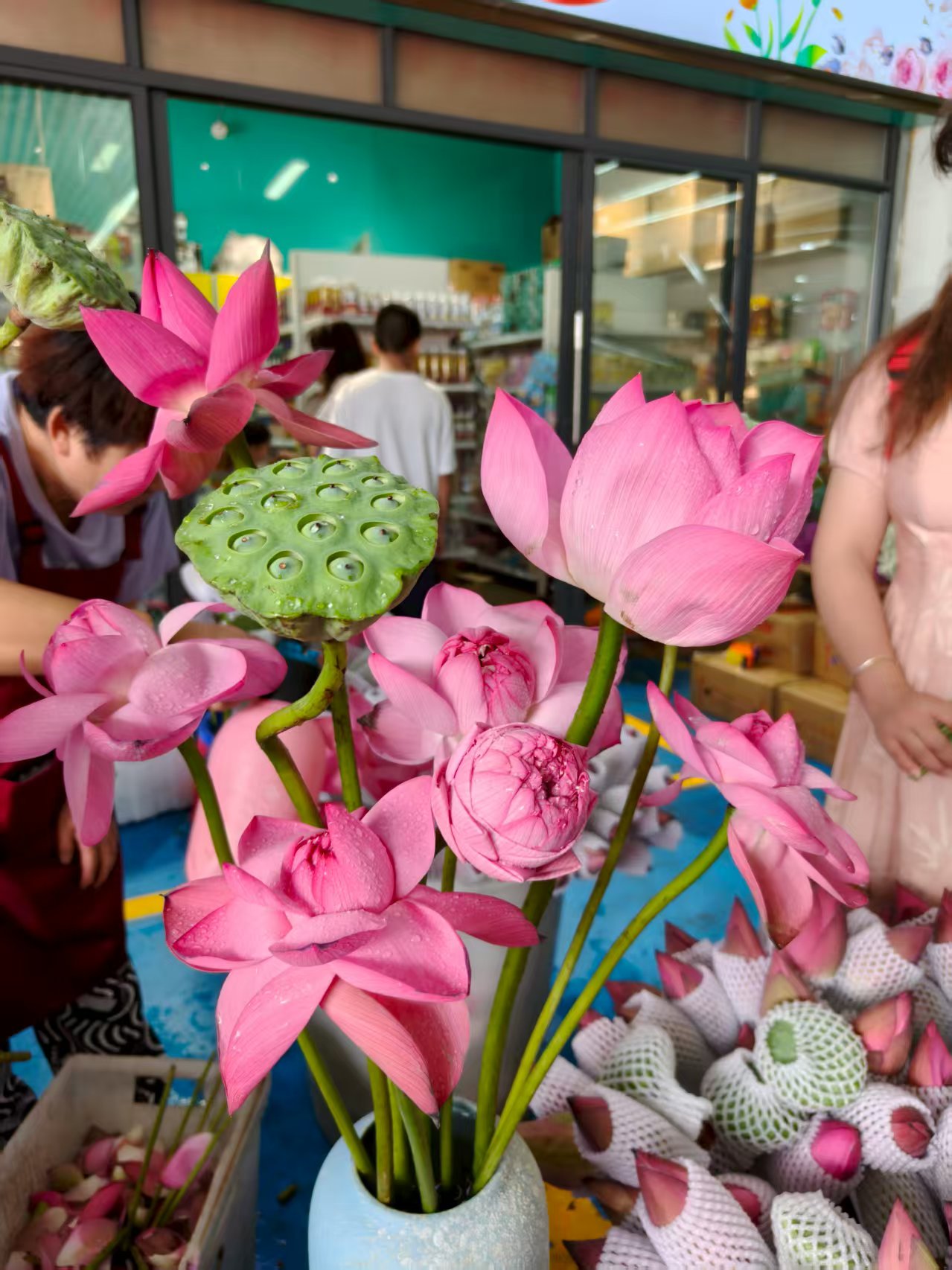 逃离重庆火炉的云贵之旅