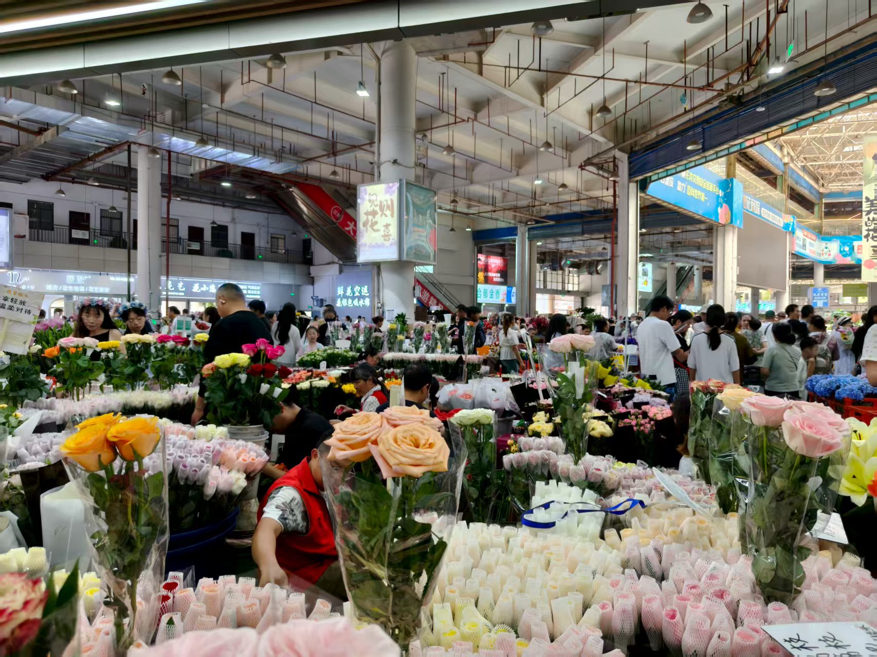 逃离重庆火炉的云贵之旅