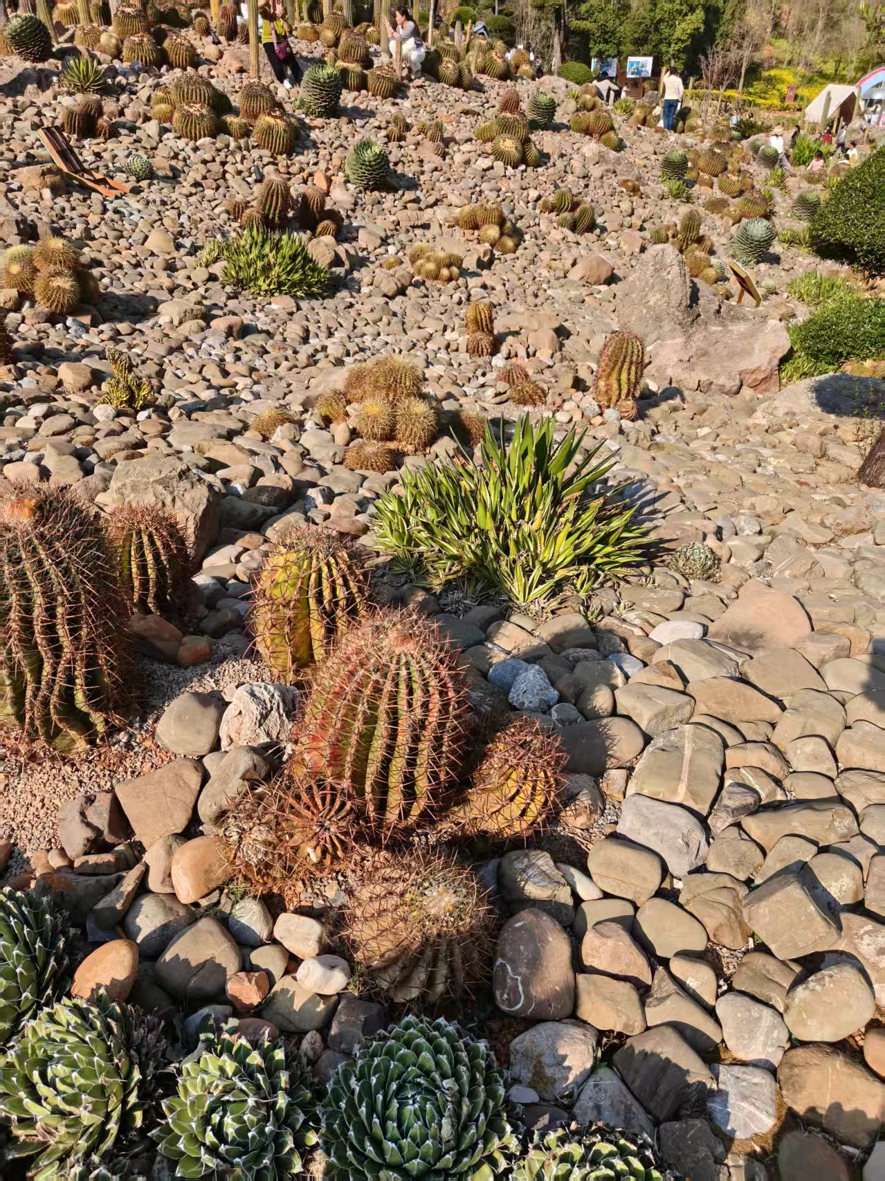 过了一个不一样的春节 过了一个不一样的春节