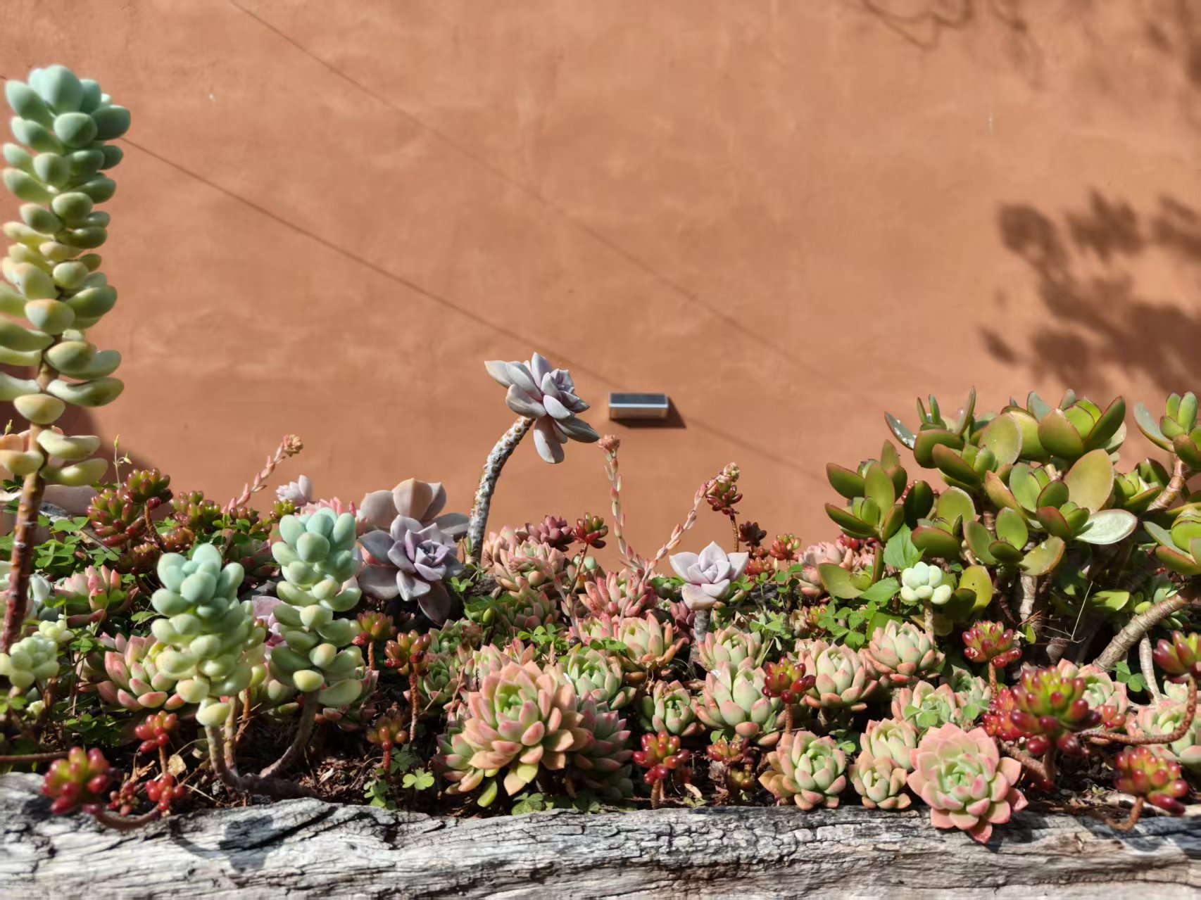 过了一个不一样的春节 过了一个不一样的春节