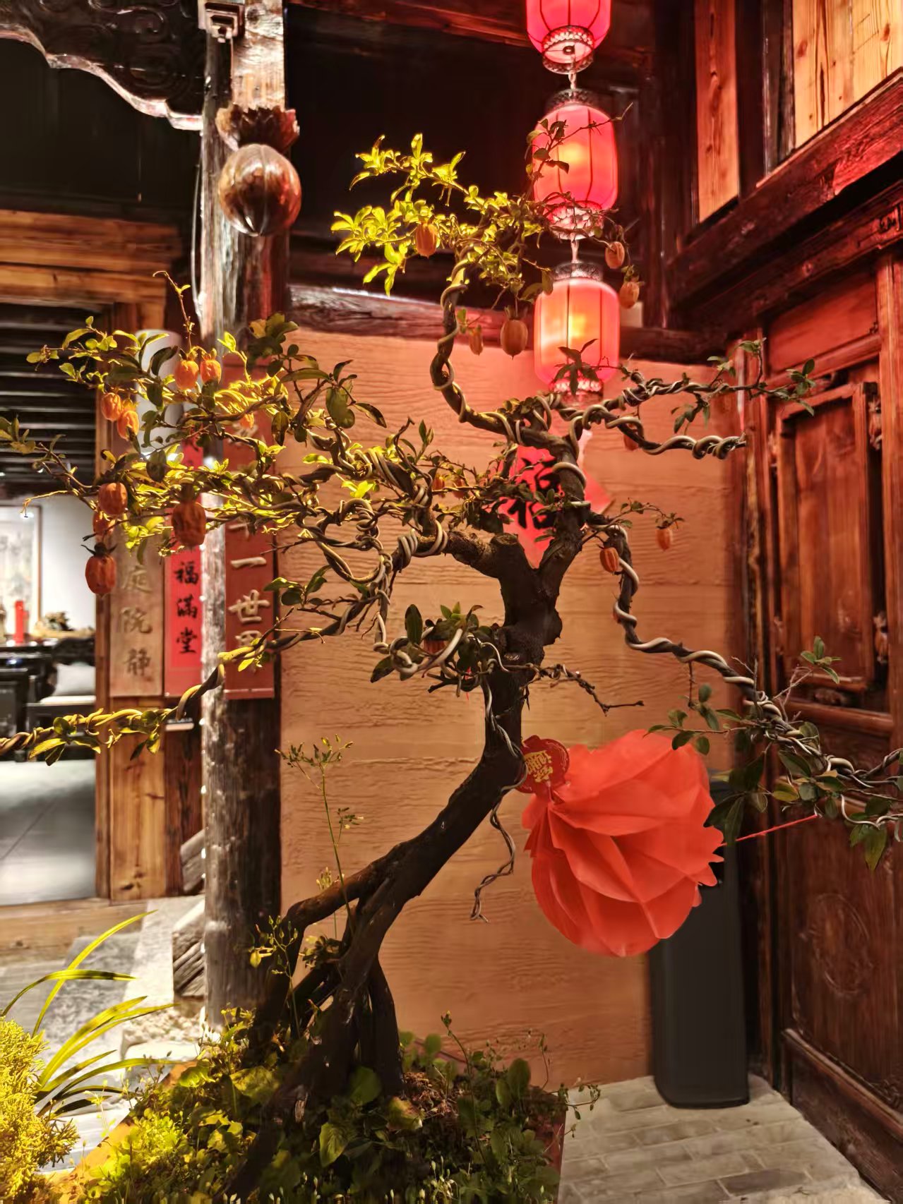 过了一个不一样的春节 过了一个不一样的春节